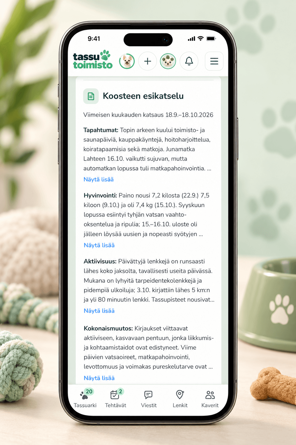 Esimerkki lemmikin kuukausikatsauksen esikatselusta
